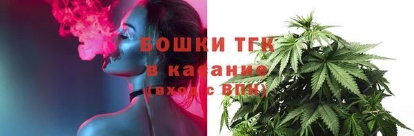 мдпв Михайловск