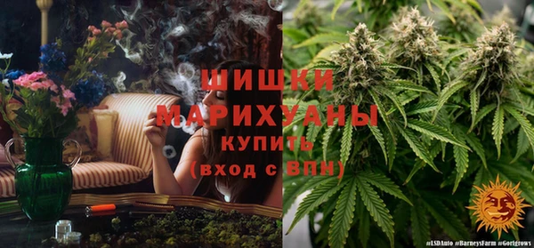 мдпв Михайловск