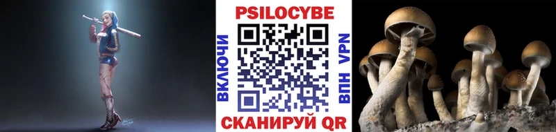 Псилоцибиновые грибы Psilocybine cubensis  ОМГ ОМГ как зайти  Красноярск  магазин продажи  