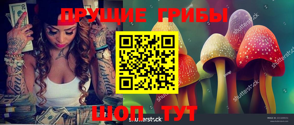 Псилоцибиновые грибы Psilocybine cubensis  Вход с VPN  Красноярск  Галлюциногенные грибы мухоморы 